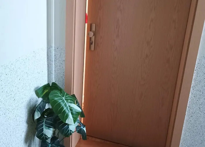 Urlaub Oase קוסוויג